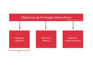 Objectivos da Formação Intercultural
Adaptado de Caligiuri et al. (2001)
Objectivos
cognitivos
Objectivos
afectivos
Objectivos
comportamentais
 