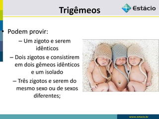 Trigêmeos
• Podem provir:
– Um zigoto e serem
idênticos
– Dois zigotos e consistirem
em dois gêmeos idênticos
e um isolado
– Três zigotos e serem do
mesmo sexo ou de sexos
diferentes;
 