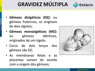 • Gêmeos dizigóticos (DZ): ou
gêmeos fraternos, se originam
de dois zigotos;
• Gêmeos monozigóticos (MZ):
ou gêmeos idênticos,
originados de um zigoto.
• Cerca de dois terços dos
gêmeos são DZ;
• As membranas fetais e as
placentas variam de acordo
com a origem dos gêmeos;
 