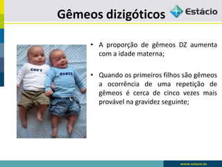 Gêmeos dizigóticos
• A proporção de gêmeos DZ aumenta
com a idade materna;
• Quando os primeiros filhos são gêmeos
a ocorrência de uma repetição de
gêmeos é cerca de cinco vezes mais
provável na gravidez seguinte;
 