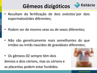 Gêmeos dizigóticos
• Resultam da fertilização de dois ovócitos´por dois
espermatozóides diferentes;
• Podem ser do mesmo sexo ou de sexos diferentes;
• Não são geneticamente mais semelhantes do que
irmãos ou irmãs nascidos de gravidezes diferentes;
• Os gêmeos DZ sempre têm dois
âmnios e dois córions, mas os córions e
as placentas podem estar fundidos.
 