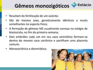 Gêmeos monozigóticos
• Resultam da fertilização de um ovócito;
• São do mesmo sexo, geneticamente idênticos e muito
semelhantes no aspecto físico;
• A formação de gêmeos MZ usualmente começa no estágio de
blastocisto, no fim da primeira semana;
• Dois embriões cada um em seu saco aminiótico formam-se
dentro do mesmo saco coriônico e partilham uma placenta
comum;
• Monocoriônica e diamniótica;
 