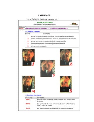 99




                            7. APÊNDICES

          7.1. APÊNDICE 1: Padrão de Instrução 103
                           ESTÂNCIA GUATAMBU
                     Descrição de Padrões Operacionais

Código   Nome
PI 103   Avaliação de condição corporal (CC) e condição dos pastos (CP)

         1) Condição Corporal:
         ESCORE                     DESCRIÇÃO

            1     animal em péssimo estado nutricional , com sinais claros de fraqueza

            2     animal mostrando perda de massa muscular, mas sem sinais de fraqueza
            3     animal sem gordura, mas sem perda de massa muscular

            4     presença de pequena camada de gordura de cobertura

            5     animal pronto para abate




         1) Condição dos Pastos:

         AVALIAÇÃO         DESCRIÇÃO
         BAIXO             altura de pasto comestível não é suficiente para tapar o casco
                           do cavalo

         MÉDIO             boa quantidade de pasto comestível, de altura suficiente para
                           tapar o casco do cavalo

          ALTO             alta disponibilidade, de altura igual ou maior que um palmo
 