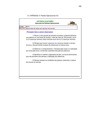 102




          7.4. APÊNDICE 4: Padrão Operacional 212


                         ESTÂNCIA GUATAMBU
                       Descrição de Padrões Operacionais

Código   Nome
PO 212 Recorrida de lotes em serviço de monta

         Principais ítens a serem observados:

                   1) Reunir o lote quando da entrada no potreiro, preferencialmente
         nos saleiros ou nos locais de sombra. Lotes de mais de 100 animais, reunir
         2 a 3 vezes por semana; lotes menores reunir de 4 a 5 vezes por semana.

                   2) Sempre que houver vacas em cio, procurar orientar o serviço
         do touro, não permitindo excesso de coberturas na mesma vaca.

                 3) Observar o comportamento ( interesse pela vaca) e a realização
         da monta pelo touro, conferindo a perfeita execução da cobertura.

                  4) Identificar e interferir (separando do lote ) os touros dominantes,
         que não permitem aos demais a realização de coberturas

                  5) Revisar sempre as condições de prepúcio, testículos e cascos
         dos touros em serviço.
 