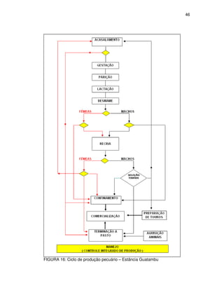 46




FIGURA 16: Ciclo de produção pecuário – Estância Guatambu
 