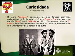 Anastomoses arteriovenosas entre tec. placentário de ambos os fetos