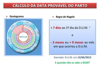 + 7 dias ao 1º dia da D.U.M. *
e
- 3 meses ou + 9 meses ao mês
em que ocorreu a D.U.M.
 Gestograma
CÁLCULO DA DATA PROVÁVEL DO PARTO
 Regra de Nagele
Exemplo: D.U.M. em 13/06/2013
E quando não se sabe a DUM?
 