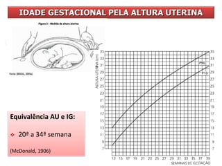 IDADE GESTACIONAL PELA ALTURA UTERINA
Equivalência AU e IG:
 20ª a 34ª semana
(McDonald, 1906)
 
