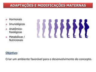  Hormonais
 Imunológicas
 Anatômico-
fisiológicas
 Metabólicas /
Nutricionais
ORGANISMO MATERNO
Objetivo:
Criar um ambiente favorável para o desenvolvimento do concepto.
ADAPTAÇÕES E MODIFICAÇÕES MATERNAS
 