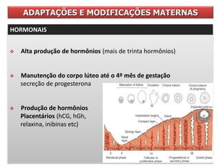  Alta produção de hormônios (mais de trinta hormônios)
 Manutenção do corpo lúteo até o 4º mês de gestação
secreção de progesterona
 Produção de hormônios
Placentários (hCG, hGh,
relaxina, inibinas etc)
ADAPTAÇÕES E MODIFICAÇÕES MATERNAS
HORMONAIS
 