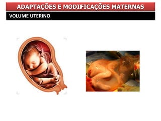 ADAPTAÇÕES E MODIFICAÇÕES MATERNAS
VOLUME UTERINO
 