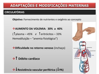 Objetivo: Fornecimento de nutrientes e oxigênio ao concepto
AUMENTO DA VOLEMIA: 30% a 40%
(plasma – 45% e eritrócitos – 33%
Hemodiluição – “anemia fisiológica”)
Dificuldade no retorno venoso (inchaço)
 Débito cardíaco
Resistência vascular periférica (PA)
ADAPTAÇÕES E MODIFICAÇÕES MATERNAS
CIRCULATÓRIAS
 