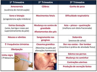 ALTERAÇÕES MATERNAS
1º Trimestre 2º Trimestre 3º Trimestre
Amenorreia
(ausência de menstruação)
Cãibras Ganho de peso
Sono e letargia
(progesterona ação inibidora)
Movimentos fetais Dificuldade respiratória
Estrias Gestação
(seios, barriga e coxas por
superestiramento da pele)
Mudança no centro de
gravidade
Afastamentos dos pés
Azia – pirose – queimação
(melhora com dieta fracionada)
Náusea e vômitos Sangramento nas
gengivas
Sialorréia
(excesso de saliva)
↑ Frequências Urinárias Cloasma gravídico
(Manchas na pele por
alterações hormonais)
Dor nas costas - Dor lombar
(Incentivo à prática de atividade física)
Obstipação
Linha nigra
(↑Melanina)
Edema nas pernas
Mudança no caminhar
Contrações uterinas
Produção de secreção láctea
 