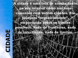 A cidade é uma teia de aranha tanto no seu interior como nas suas conexões com outras cidades. Ela prospera “organicamente”, empurrando todos os limites possíveis. Nada de fronteiras, nada de interdições, nada de limites. CIDA CIDADE 