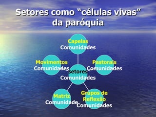Setores como “células vivas”
        da paróquia

              Capelas
            Comunidades

    Movimentos          Pastorais
    Comunidades       Comunidades
               setores
            Comunidades

                  Grupos de
         Matriz
                   Reflexão
       Comunidade
                 Comunidades
 