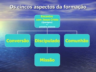 Os cincos aspectos da formação
               Encontro
            com Jesus Cristo
                (Querigma)
                     =
              primeiro anúncio




Conversão   Discipulado          Comunhão



              Missão
 
