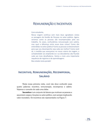 Unidade 3 – Processos de Recompensas e de Desenvolvimento
Módulo 5 75
RemuneraçãoeIncentivos
Incentivo, Remuneração, Recompensa,
Salário
Nesta nossa primeira visita, você não deve confundir essas
quatro palavras: incentivo, remuneração, recompensa e salário.
Vejamos o conceito de cada uma delas.
Incentivo é um conjunto de fatores que motivam as pessoas a
assumirem cargos e funções no setor público, nem sempre implicando
valor monetário. Os incentivos são representados na Figura 7.
Caro estudante,
Nossa viagem contínua com mais duas agradáveis visitas
as paisagens da Gestão de Pessoas no setor público. Agora,
veremos como as pessoas são recompensadas pelo seu
trabalho. Às vezes, confundimos remuneração com salário,
mas qual a diferença entre essas duas coisas? Como são
entendidas no setor público? Como as pessoas se desenvolvem
para que seu desempenho seja cada vez melhor? Como você
vê, à medida que avançamos no nosso roteiro de viagem, a
complexidade vai ampliando-se e as descobertas vão ficando
cada vez mais desafiadoras. Vamos a mais uma importante
sequência de registros e de aprendizagens.
Boa estada nesta parada!
 