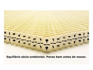 Sócio-ambiental se escreve junto Sócio-ambiental é uma palavra só Equilíbrio sócio-ambiental. Pense bem antes de mexer. 