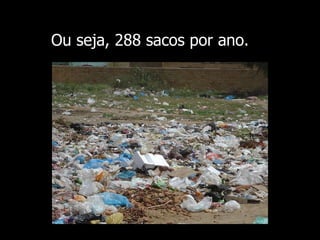 Ou seja, 288 sacos por ano. 