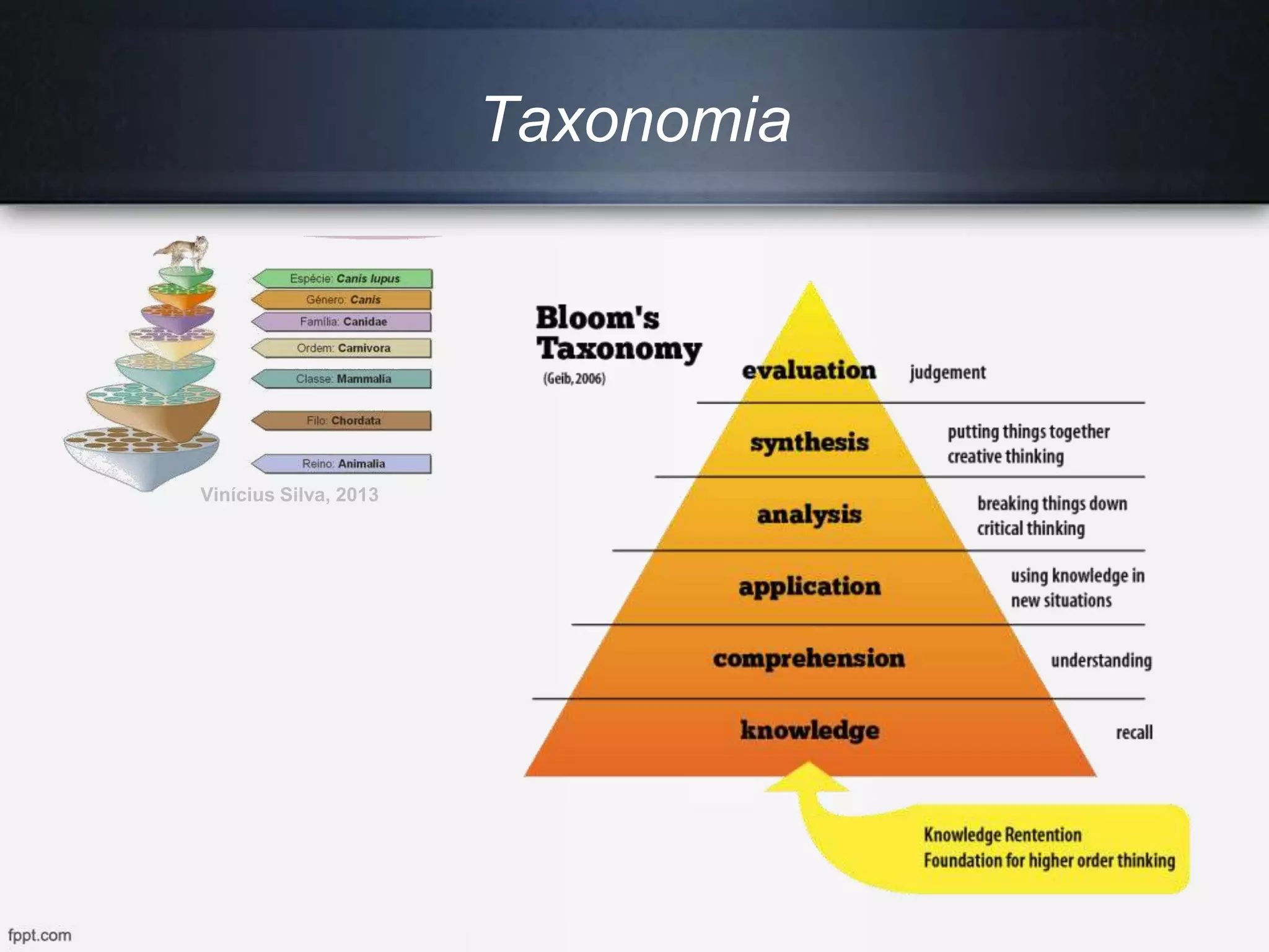 Taxonomia
Vinícius Silva, 2013
 