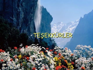 TEŞEKKÜRLER 