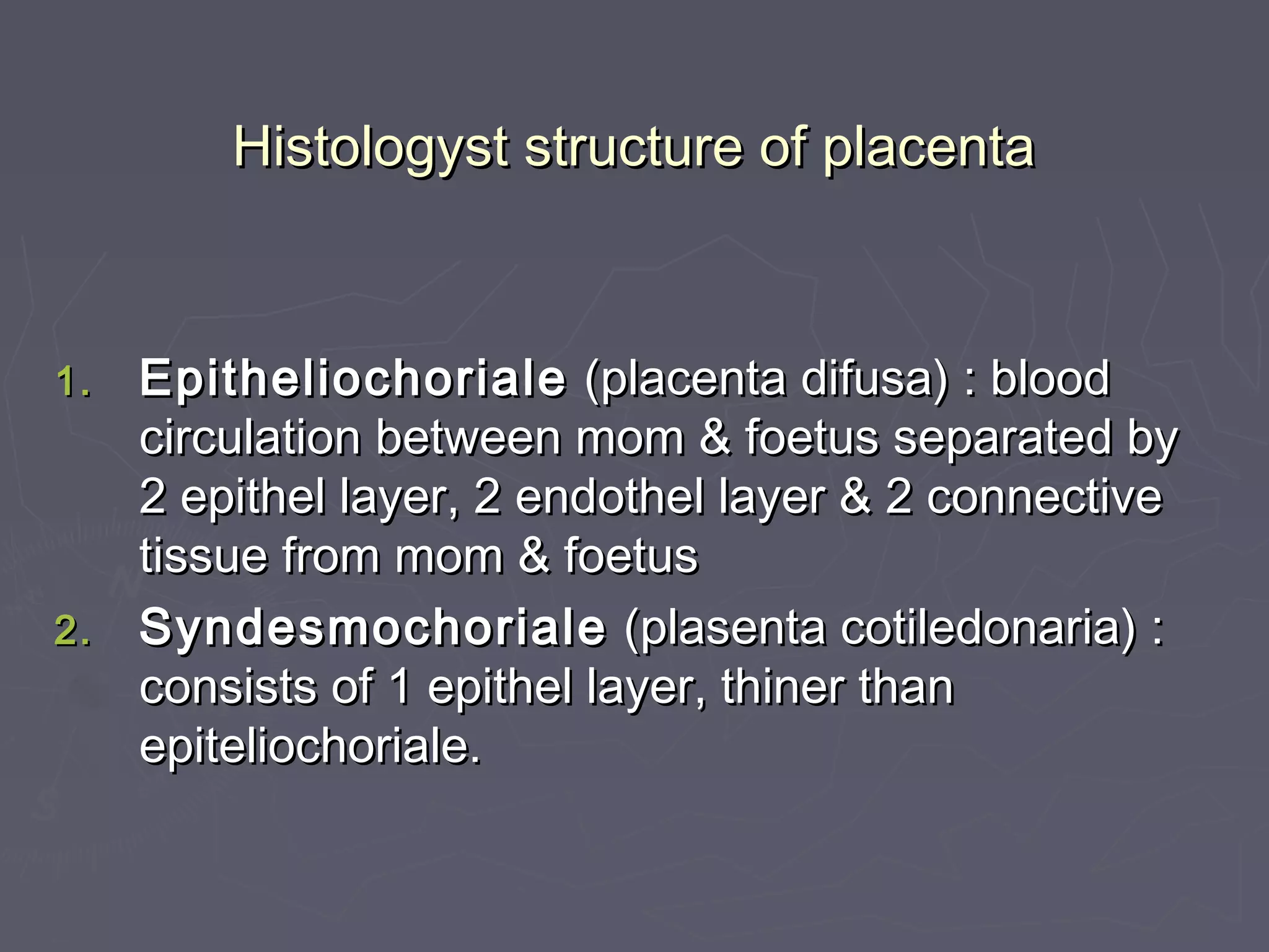Histologyst structure of placentaHistologyst structure of placenta
1.1. EpitheliochorialeEpitheliochoriale (placenta difusa) : blood(placenta difusa) : blood
circulation between mom & foetus separated bycirculation between mom & foetus separated by
2 epithel layer, 2 endothel layer & 2 connective2 epithel layer, 2 endothel layer & 2 connective
tissue from mom & foetustissue from mom & foetus
2.2. SyndesmochorialeSyndesmochoriale (plasenta cotiledonaria) :(plasenta cotiledonaria) :
consists of 1 epithel layer, thiner thanconsists of 1 epithel layer, thiner than
epiteliochoriale.epiteliochoriale.
 