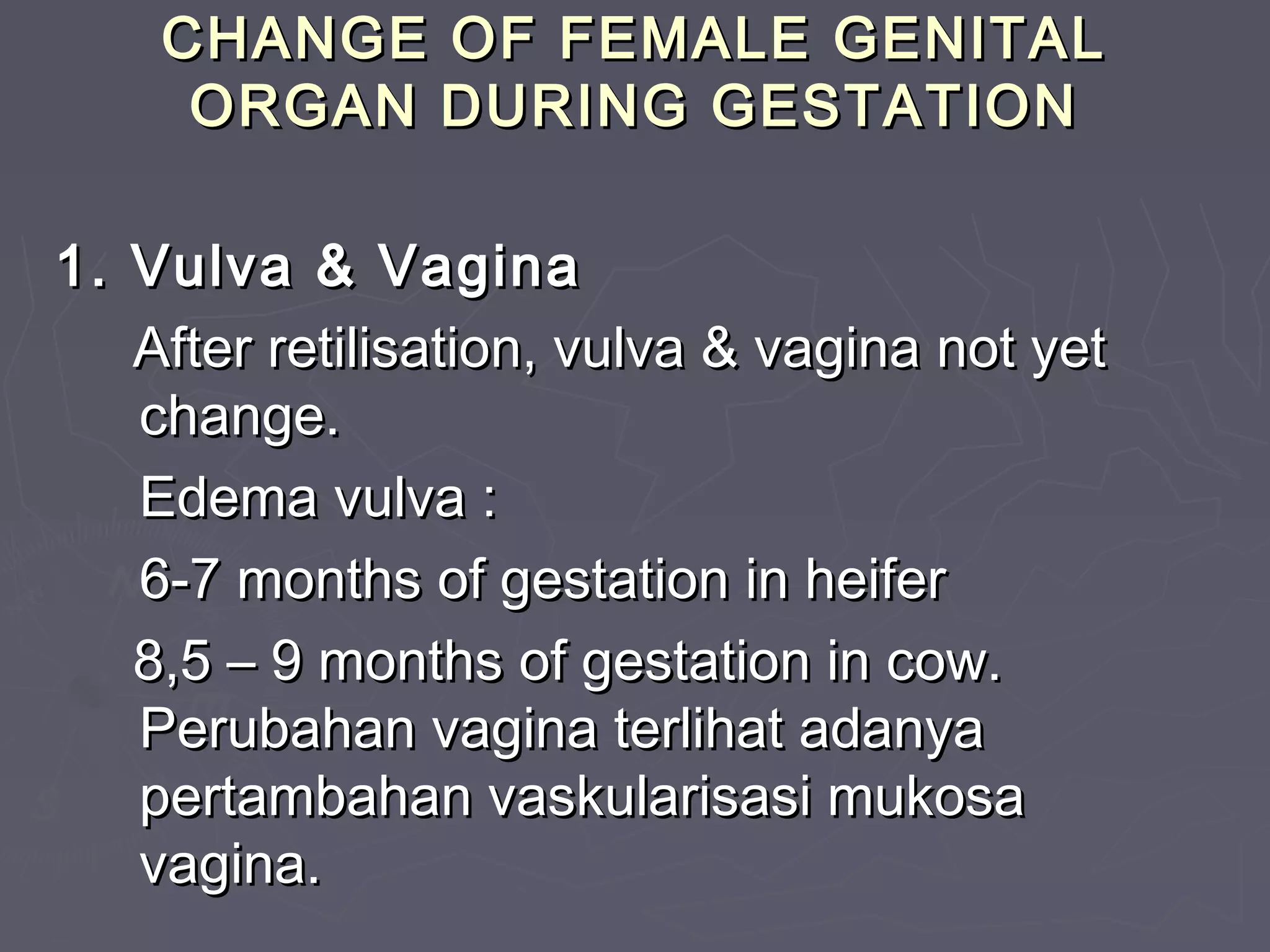 CHANGE OF FEMALE GENITALCHANGE OF FEMALE GENITAL
ORGAN DURING GESTATIONORGAN DURING GESTATION
1. Vulva & Vagina1. Vulva & Vagina
After retilisation, vulva & vagina not yetAfter retilisation, vulva & vagina not yet
change.change.
Edema vulva :Edema vulva :
6-7 months of gestation in heifer6-7 months of gestation in heifer
8,5 – 9 months of gestation in cow.8,5 – 9 months of gestation in cow.
Perubahan vagina terlihat adanyaPerubahan vagina terlihat adanya
pertambahan vaskularisasi mukosapertambahan vaskularisasi mukosa
vagina.vagina.
 