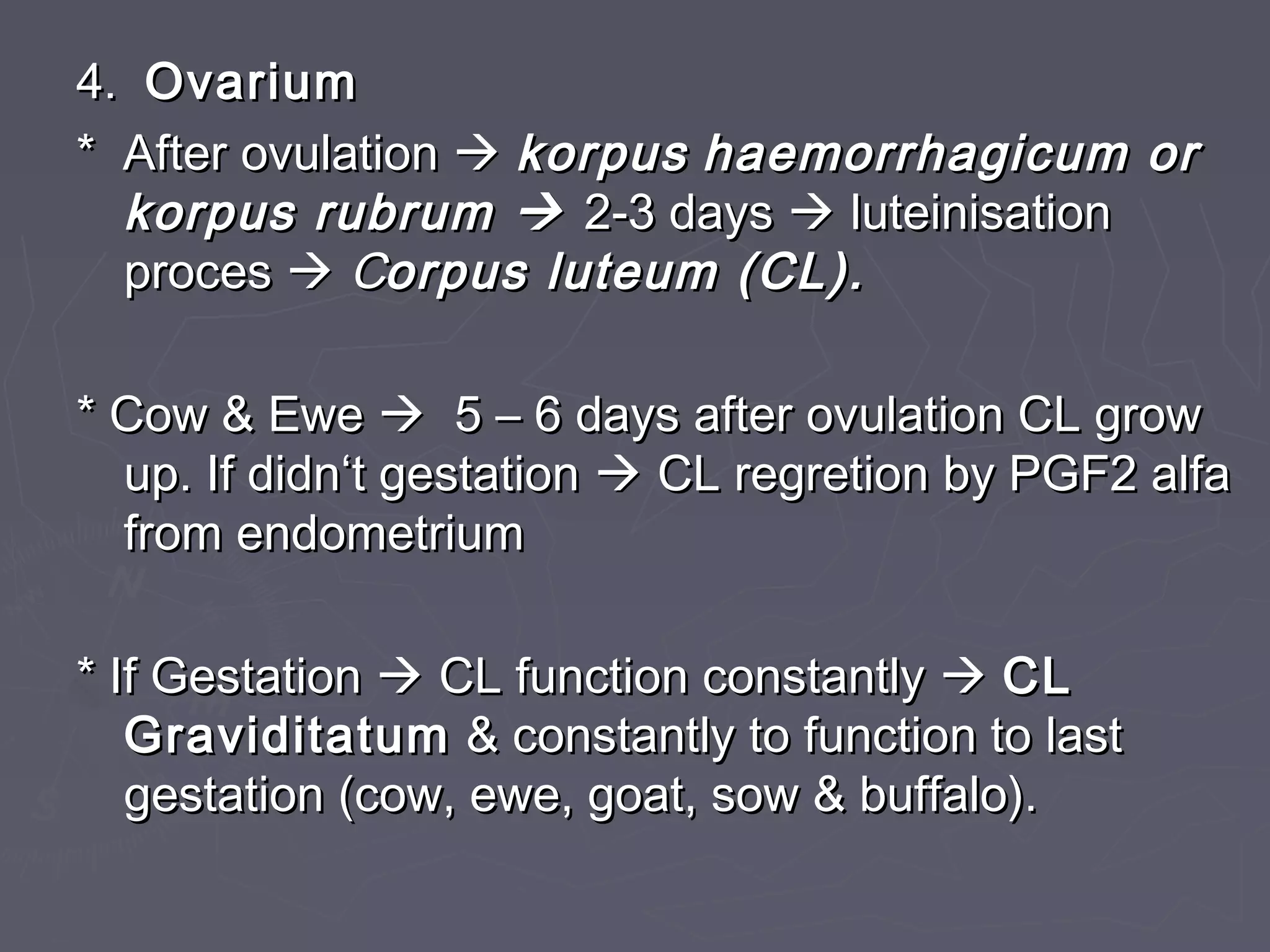 4.4. OvariumOvarium
* After ovulation* After ovulation  korpuskorpus haemorrhagicum orhaemorrhagicum or
korpus rubrumkorpus rubrum  2-3 days2-3 days  luteinisationluteinisation
procesproces  CCorpus luteum (CL).orpus luteum (CL).
* Cow & Ewe* Cow & Ewe  5 – 6 days after ovulation CL grow5 – 6 days after ovulation CL grow
up. If didn‘t gestationup. If didn‘t gestation  CL regretion by PGF2 alfaCL regretion by PGF2 alfa
from endometriumfrom endometrium
* If Gestation* If Gestation  CL function constantlyCL function constantly  CLCL
GraviditatumGraviditatum & constantly to function to last& constantly to function to last
gestation (cow, ewe, goat, sow & buffalo).gestation (cow, ewe, goat, sow & buffalo).
 