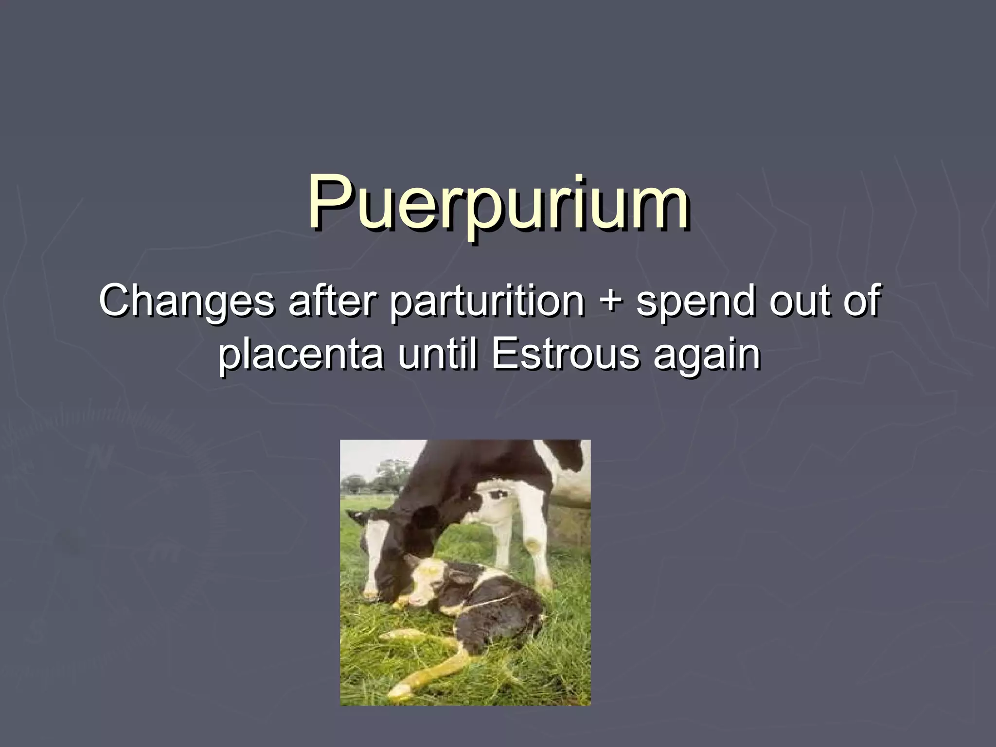 PuerpuriumPuerpurium
Changes after parturition + spend out ofChanges after parturition + spend out of
placenta until Estrous againplacenta until Estrous again
 