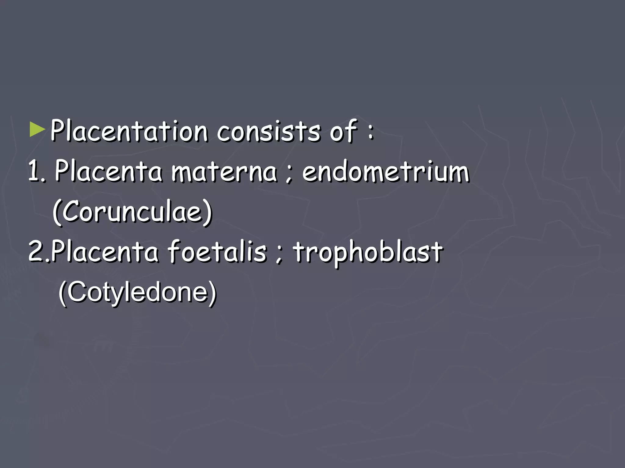 ►Placentation consists of :Placentation consists of :
1. Placenta materna ; endometrium1. Placenta materna ; endometrium
(Corunculae)(Corunculae)
2.Placenta foetalis ; trophoblast2.Placenta foetalis ; trophoblast
(Cotyledone)(Cotyledone)
 