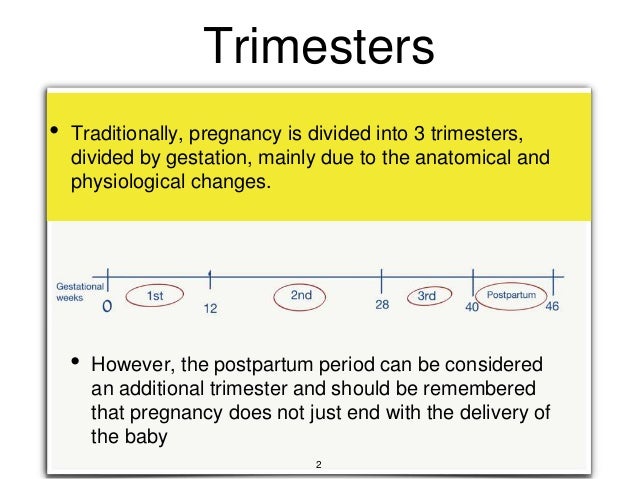 Gestation Chart