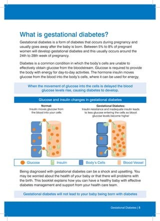 Gestational diabetes booklet | PDF