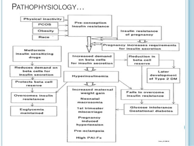 Diabetes Type 2 Pathophysiology Flow Chart