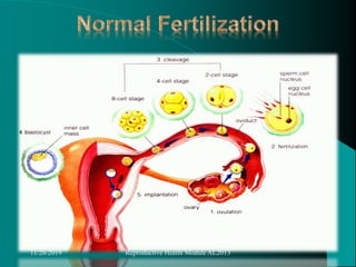 11/26/2019 Reproductive Health Module AL2013
 