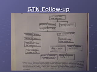 GTN Follow-up
GTN Follow-up
 