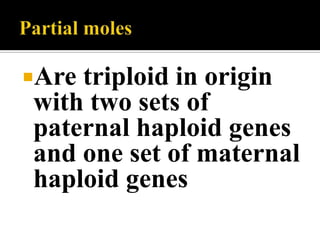 Aretriploid in origin
with two sets of
paternal haploid genes
and one set of maternal
haploid genes
 