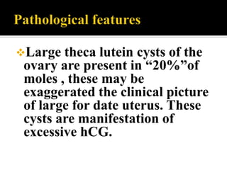 Large  theca lutein cysts of the
 ovary are present in “20%”of
 moles , these may be
 exaggerated the clinical picture
 of large for date uterus. These
 cysts are manifestation of
 excessive hCG.
 