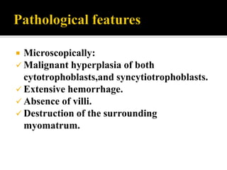  Microscopically:
 Malignant hyperplasia of both
  cytotrophoblasts,and syncytiotrophoblasts.
 Extensive hemorrhage.
 Absence of villi.
 Destruction of the surrounding
  myomatrum.
 