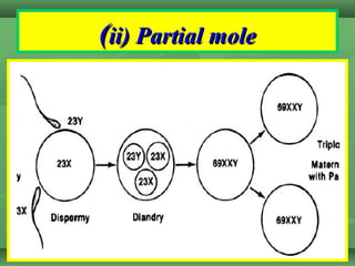((ii) Partial moleii) Partial mole
 