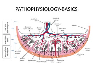 PATHOPHYSIOLOGY-BASICS
 