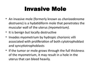 Invasive Mole
• An invasive mole (formerly known as chorioadenoma
destruens) is a hydatidiform mole that penetrates the
muscular wall of the uterus (myometrium).
• It is benign but locally destructive
• Invades myometrium by hydropic chorionic villi
associated with proliferation of both cytotrophoblast
and syncytiotrophoblasts
• If the tumor or mole grows through the full thickness
of the myometrium, it may result in a hole in the
uterus that can bleed heavily.
 