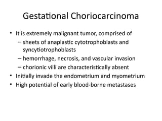 Gestational Choriocarcinoma
• It is extremely malignant tumor, comprised of
– sheets of anaplastic cytotrophoblasts and
syncytiotrophoblasts
– hemorrhage, necrosis, and vascular invasion
– chorionic villi are characteristically absent
• Initially invade the endometrium and myometrium
• High potential of early blood-borne metastases
 