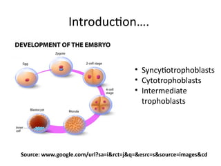 Introduction….
Source: www.google.com/url?sa=i&rct=j&q=&esrc=s&source=images&cd
• Syncytiotrophoblasts
• Cytotrophoblasts
• Intermediate
trophoblasts
 
