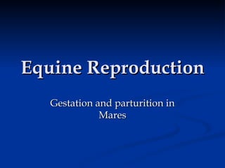 Equine Reproduction Gestation and parturition in Mares 