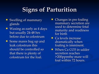 Gestation in mares | PPT