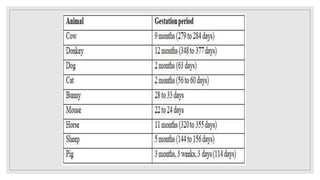 Gestation length .pptx