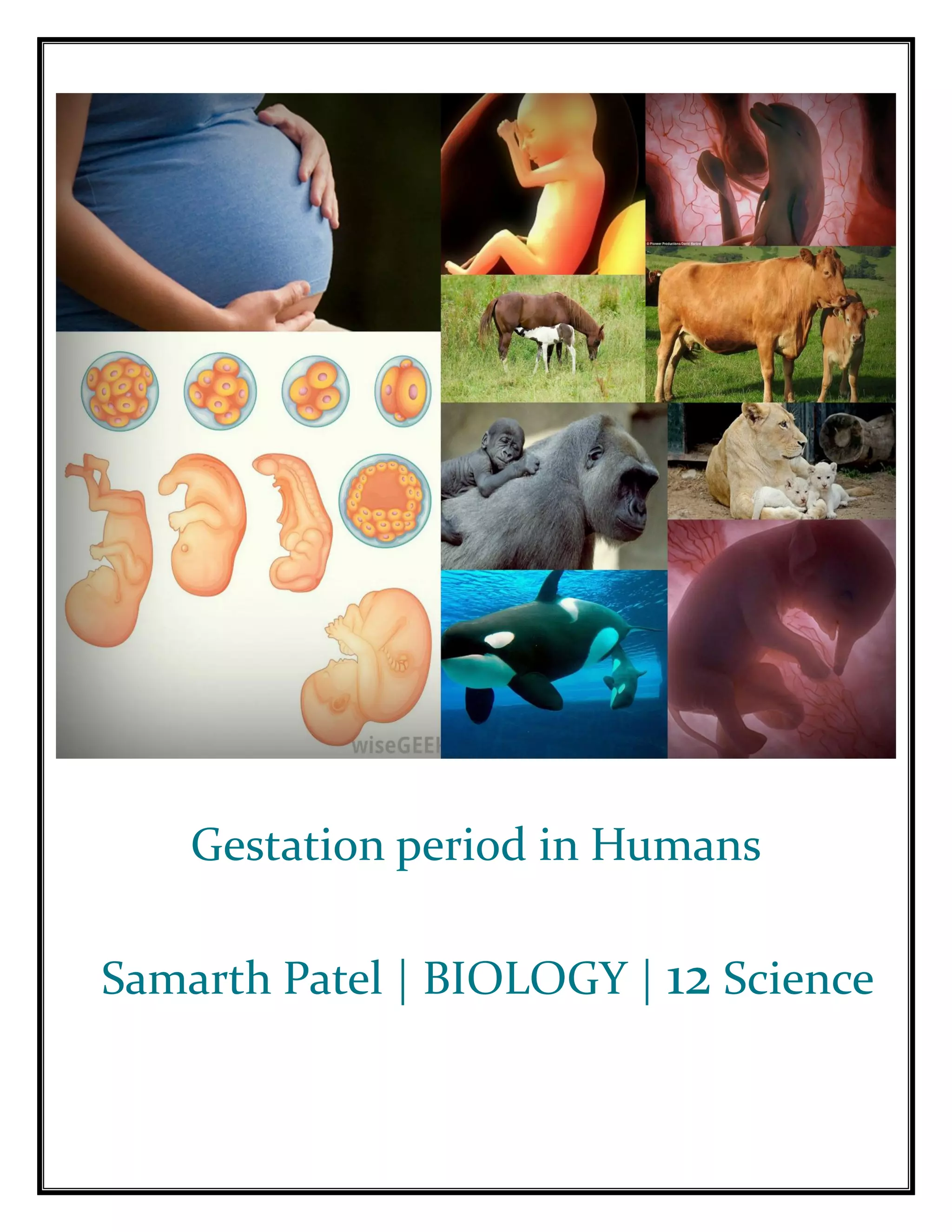 Gestation period in Humans
Samarth Patel | BIOLOGY | 12 Science
 
