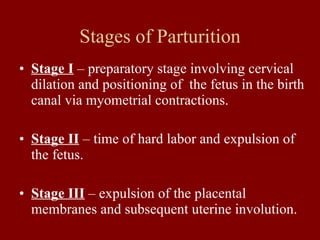 Gestationplacentationlactation | PPT