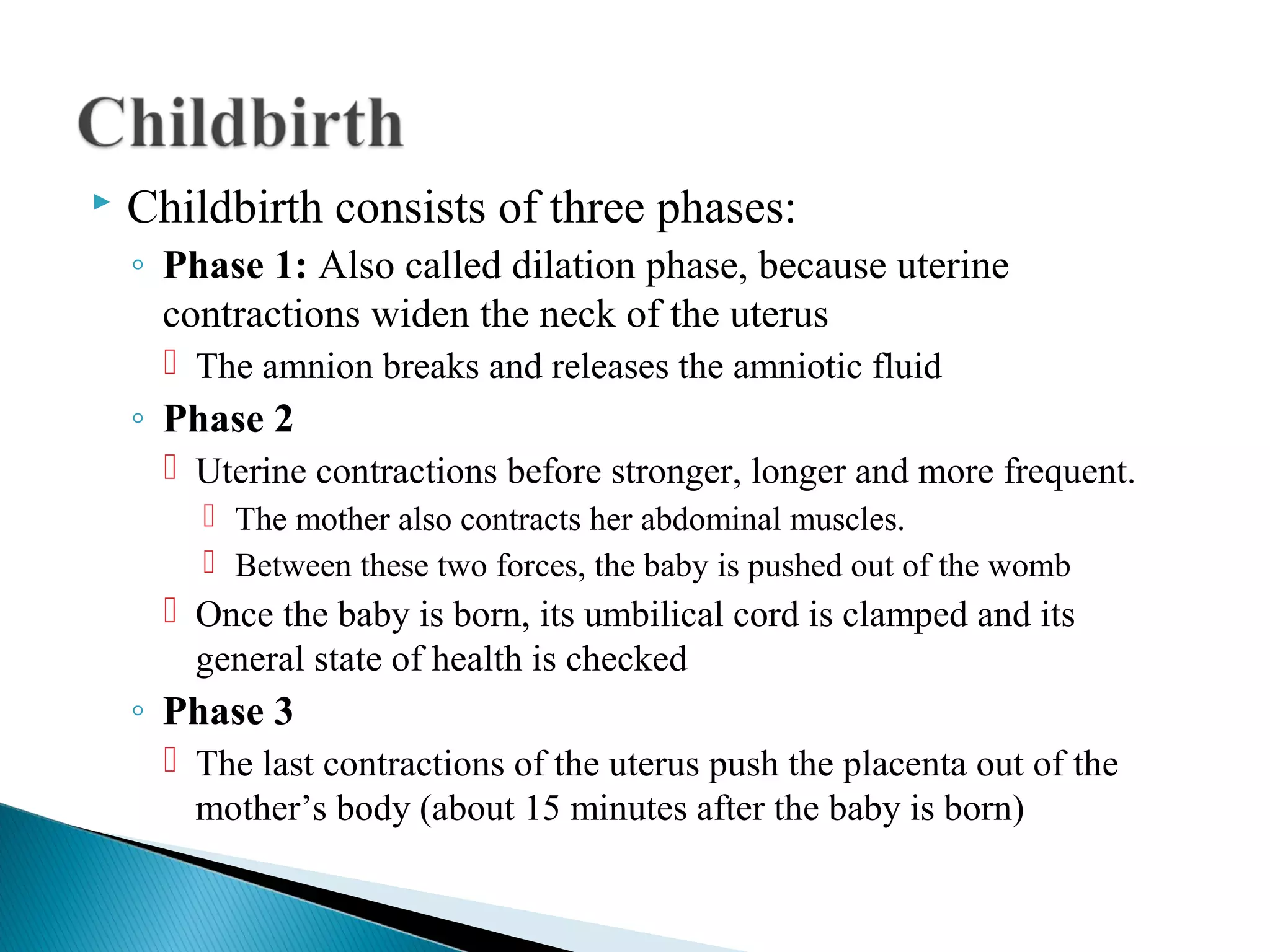    Childbirth consists of three phases:
    ◦ Phase 1: Also called dilation phase, because uterine
      contractions widen the neck of the uterus
       The amnion breaks and releases the amniotic fluid
    ◦ Phase 2
       Uterine contractions before stronger, longer and more frequent.
         The mother also contracts her abdominal muscles.
         Between these two forces, the baby is pushed out of the womb
       Once the baby is born, its umbilical cord is clamped and its
        general state of health is checked
    ◦ Phase 3
       The last contractions of the uterus push the placenta out of the
        mother’s body (about 15 minutes after the baby is born)
 