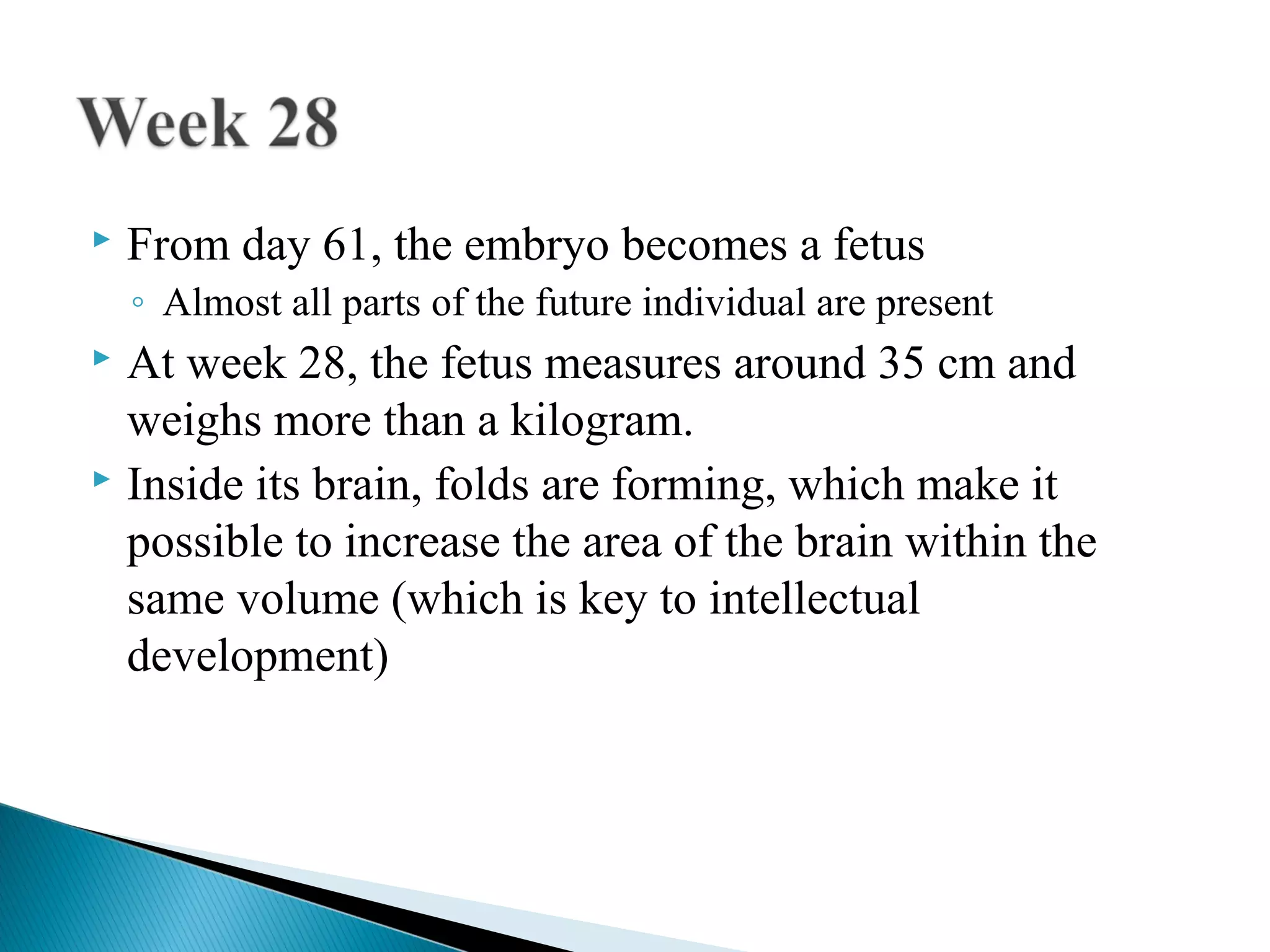    From day 61, the embryo becomes a fetus
    ◦ Almost all parts of the future individual are present
 At week 28, the fetus measures around 35 cm and
  weighs more than a kilogram.
 Inside its brain, folds are forming, which make it

  possible to increase the area of the brain within the
  same volume (which is key to intellectual
  development)
 
